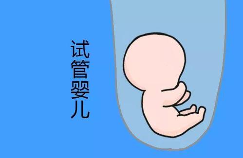 PGT实验室